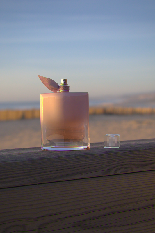 #NV022 - Blanc Vanille - 100ml