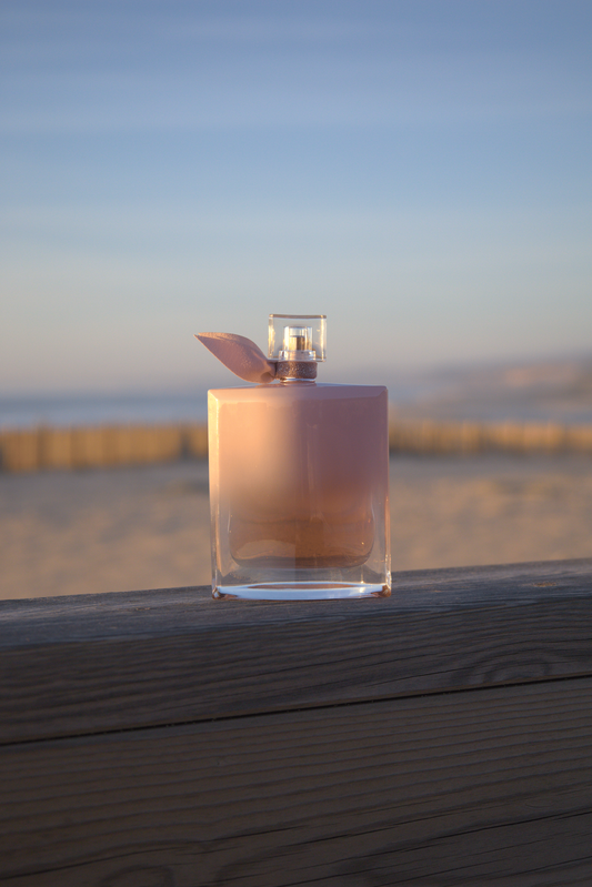 #NV021 - Blanc Vanille - 100ml